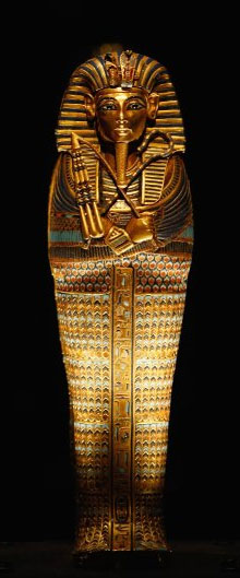 The Tutankhamun DNA Project